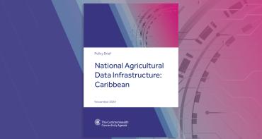 Cover image of CCA Policy Brief - Caribbean