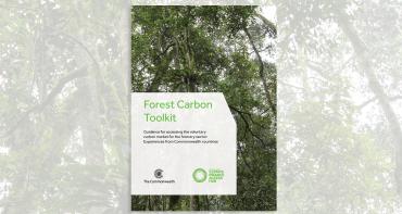 Cover image of Forest Carbon Toolkit