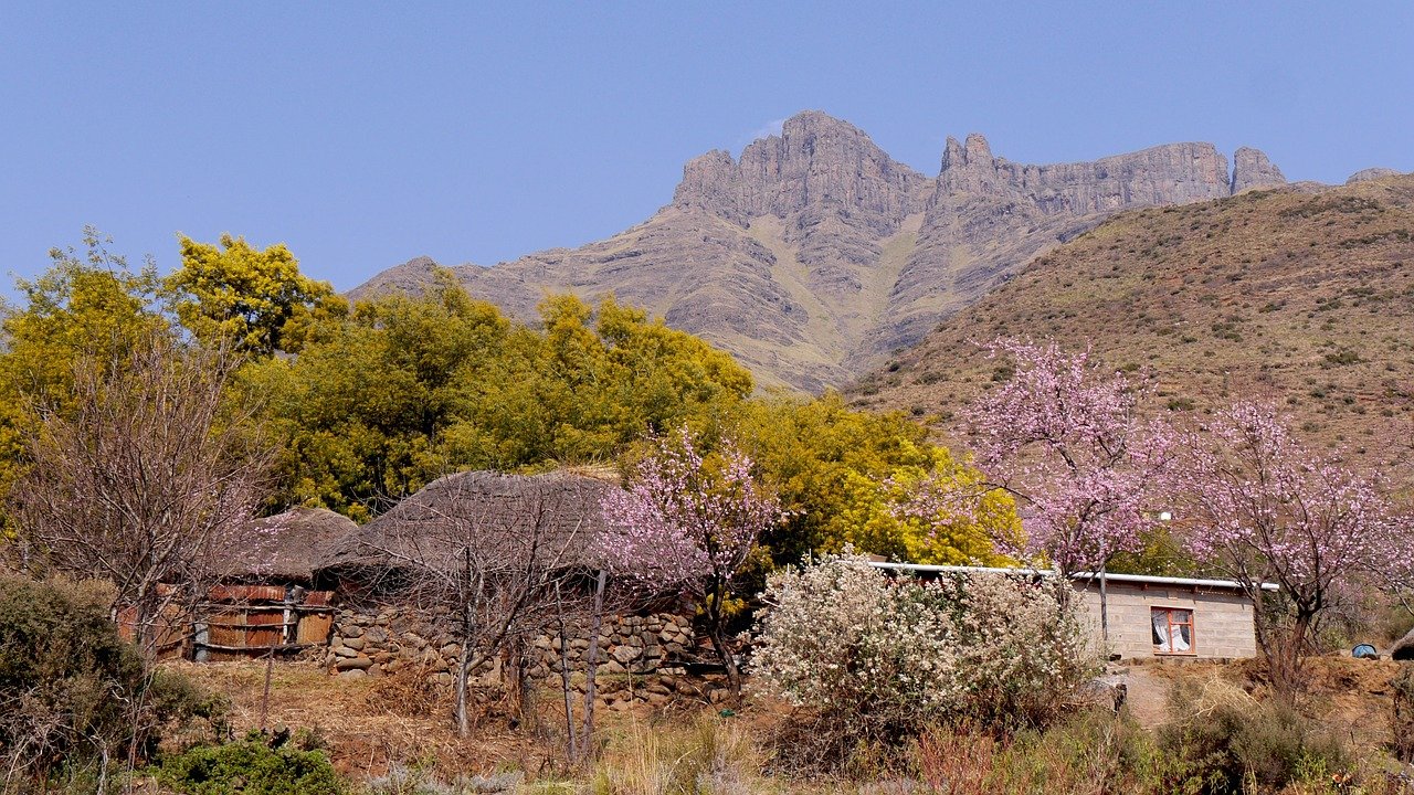 lesotho