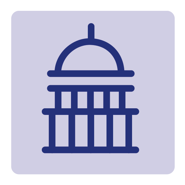 CVE icon