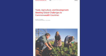 Cover of Hinrich report